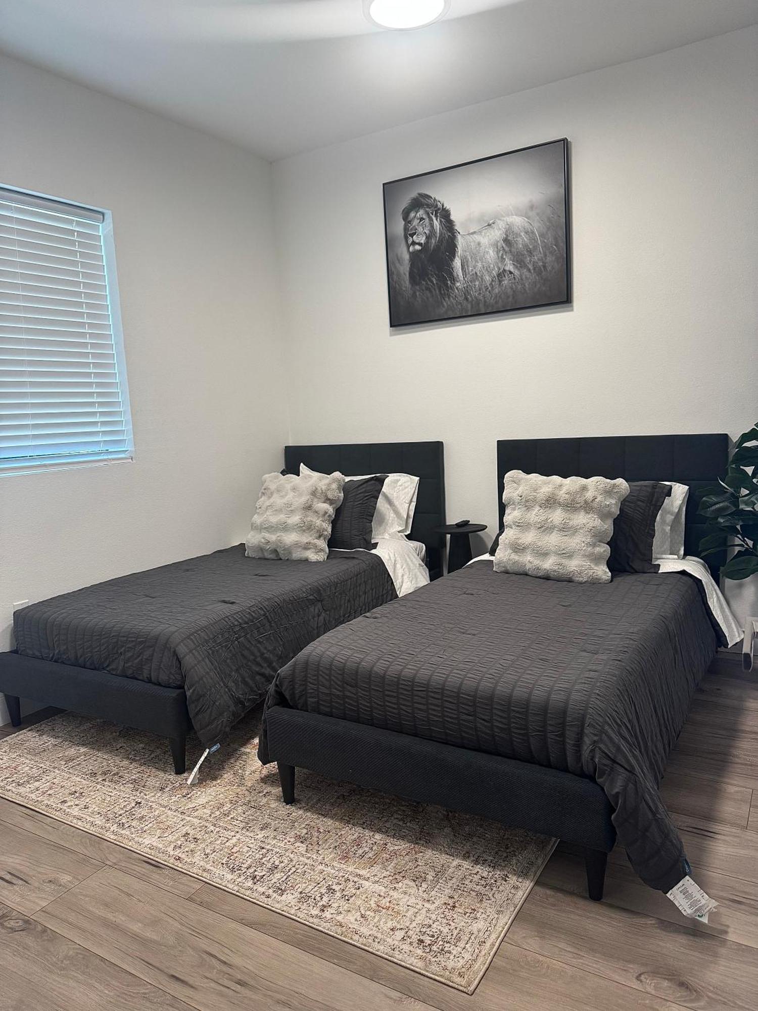 Apartment Hidden Gem In South La- Roomy, Quiet & Los Angeles